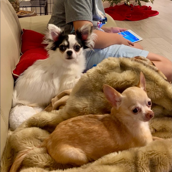 Meet your Posher, Michelle - Picture 4 of 9